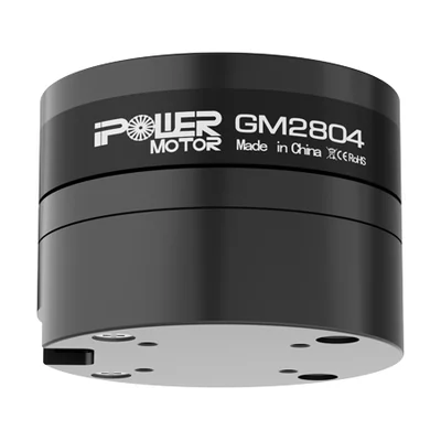 Мотор подвеса iPower GM2804 с энкодером AS5048A, 250–350 г·см