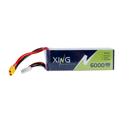 Аккумулятор LiPo Xing 9048145 6S 22,2 В 6000 мА·ч 35C